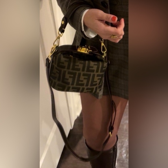 Fashion Zucca Mini Bag Canvas Mono Leather Gold Hardware - Picture 2 of 12